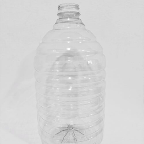 Piña redonda